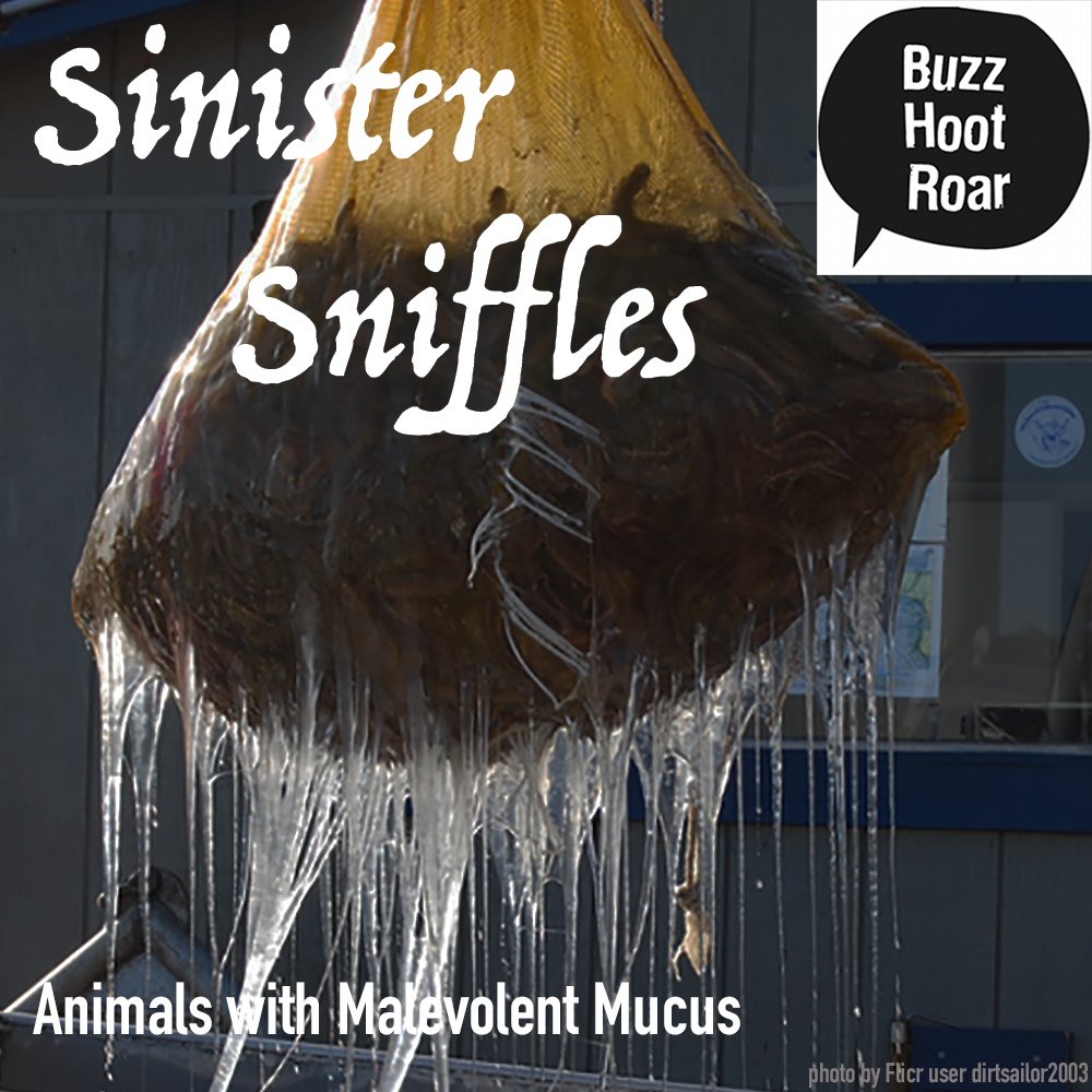 Sinister Sniffles for Buzz Hoot Roar
